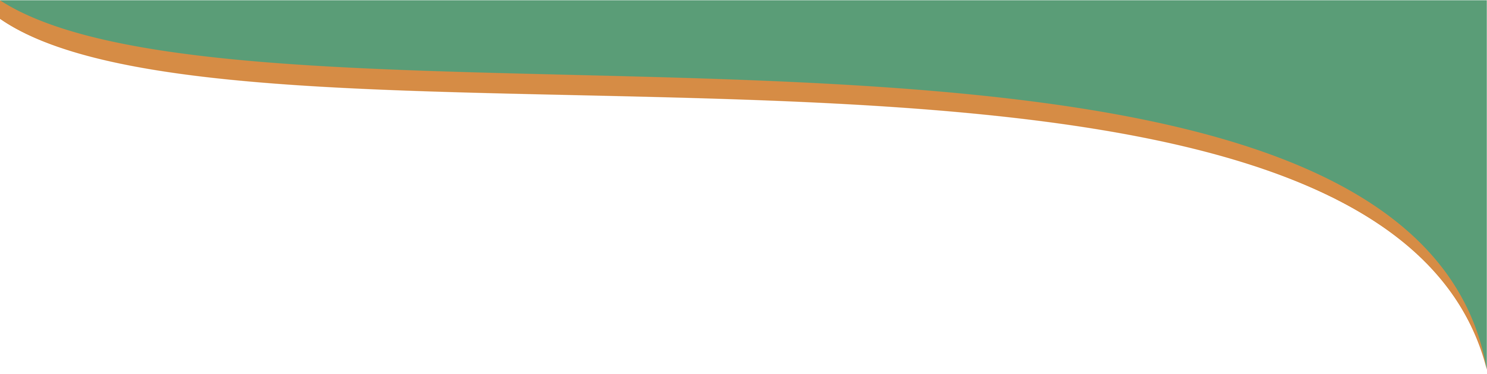 Curvey Layout Graphic